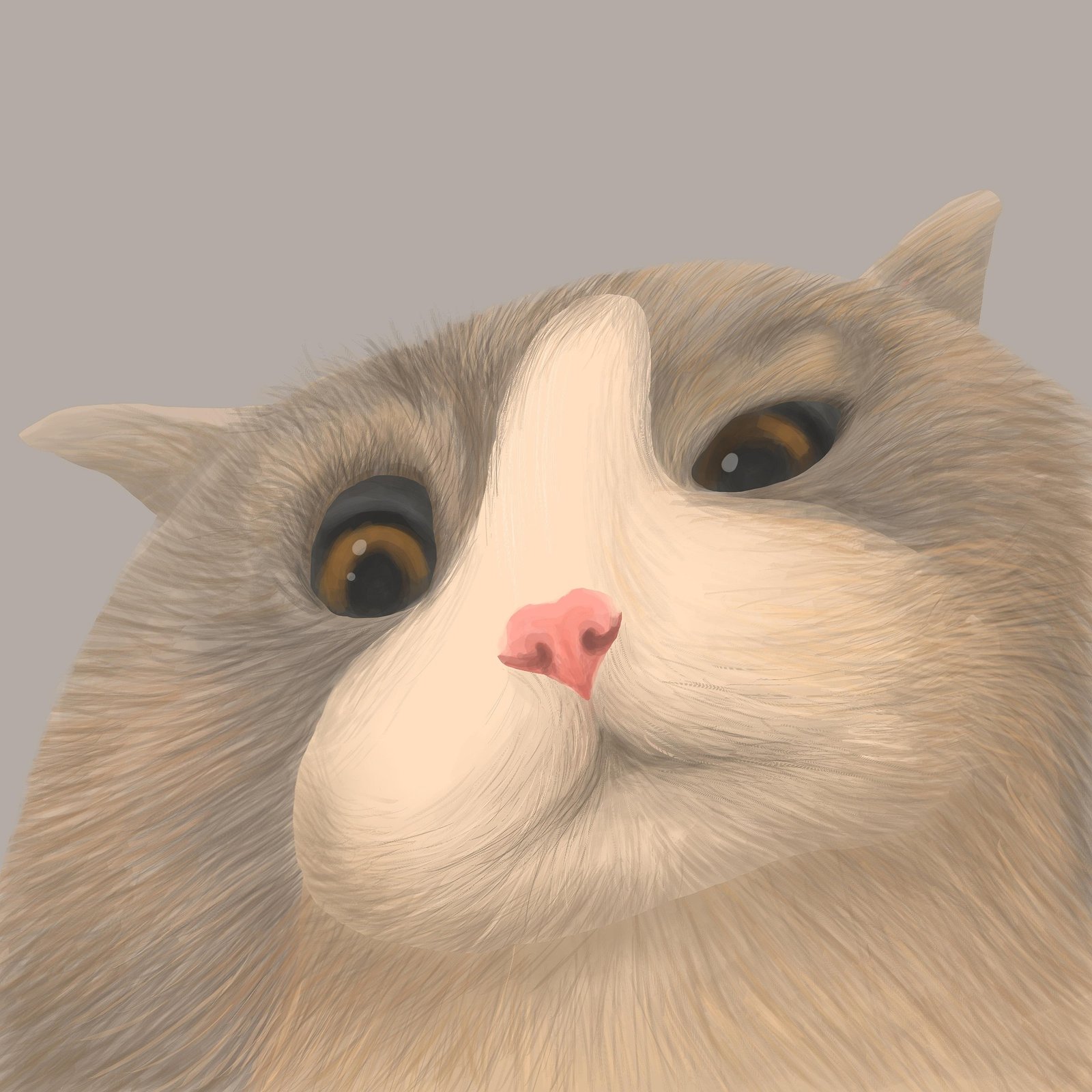 A propos t0ngo cat 7287671 1920
